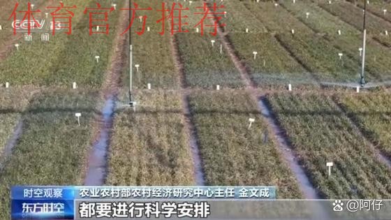 战略定位前所未有 体制改革清除障碍