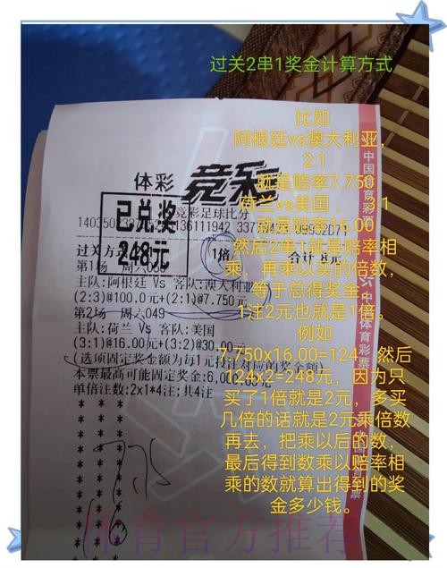 世界杯投注入口：高额奖金规则全解析