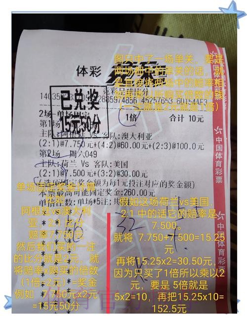 世界杯投注入口：高额奖金规则全解析